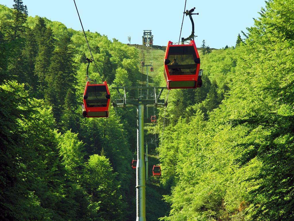 Azuga Ski & Bike Resort Exteriér fotografie
